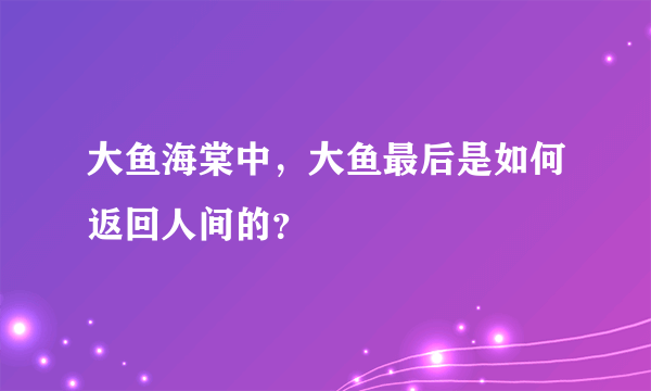 大鱼海棠中，大鱼最后是如何返回人间的？