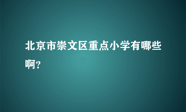 北京市崇文区重点小学有哪些啊？