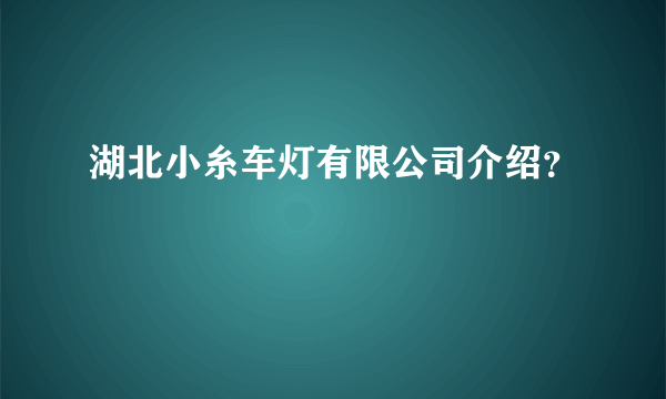 湖北小糸车灯有限公司介绍？