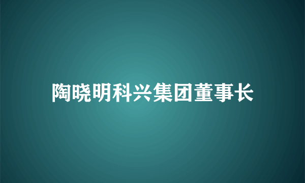 陶晓明科兴集团董事长