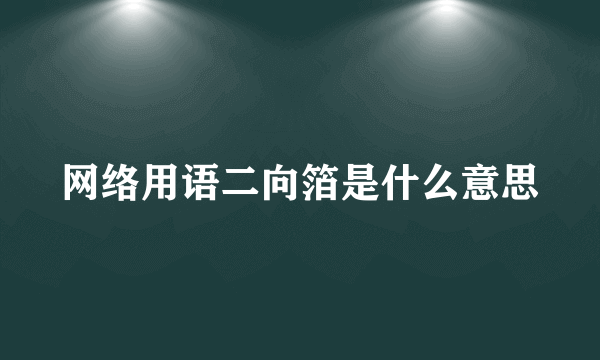 网络用语二向箔是什么意思