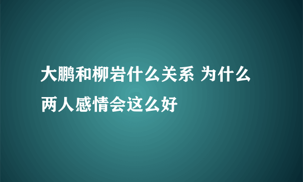 大鹏和柳岩什么关系 为什么两人感情会这么好