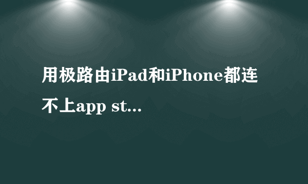 用极路由iPad和iPhone都连不上app store。这是为什么?除了上网啥也干不了啊