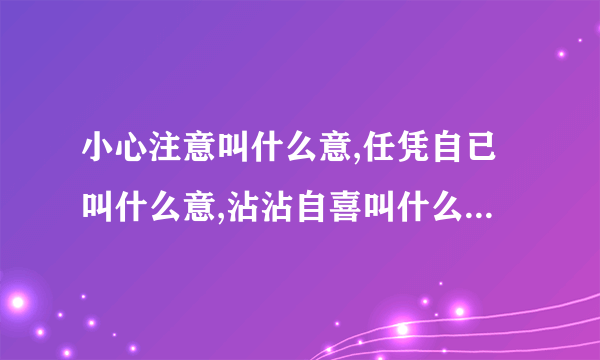 小心注意叫什么意,任凭自已叫什么意,沾沾自喜叫什么意,任意忘为叫什么意,心情爽快叫什么意,心术不正叫什么意?