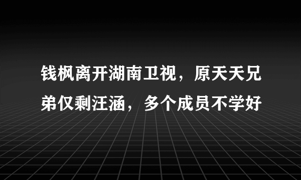 钱枫离开湖南卫视，原天天兄弟仅剩汪涵，多个成员不学好