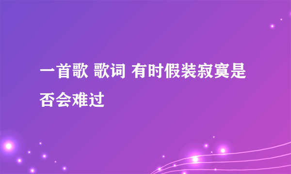 一首歌 歌词 有时假装寂寞是否会难过