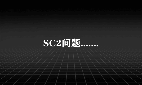 SC2问题.......