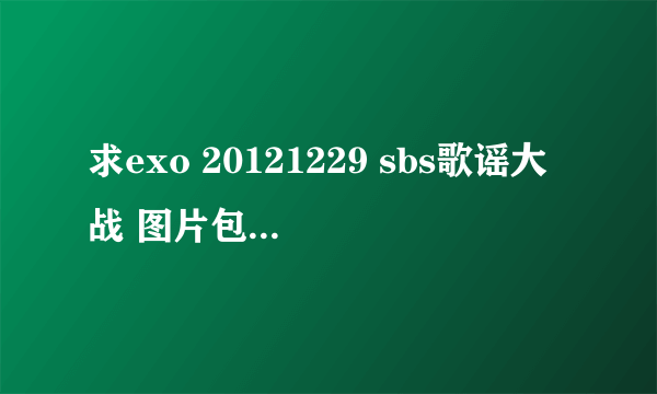 求exo 20121229 sbs歌谣大战 图片包!就是下雪走红毯的那个!exo