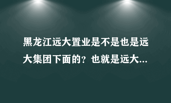 黑龙江远大置业是不是也是远大集团下面的？也就是远大集团胡凯军投资的项目？