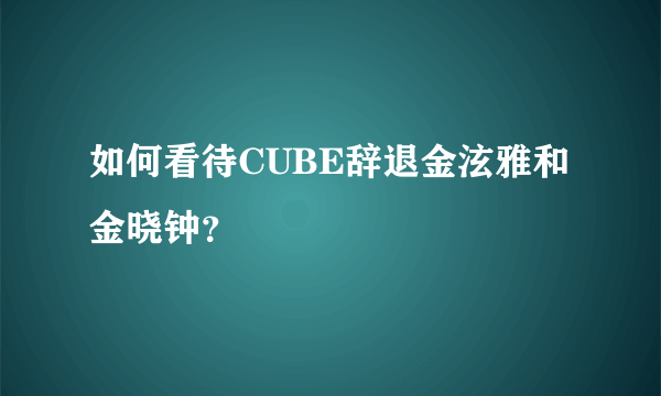 如何看待CUBE辞退金泫雅和金晓钟？