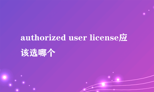 authorized user license应该选哪个