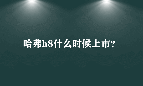 哈弗h8什么时候上市？