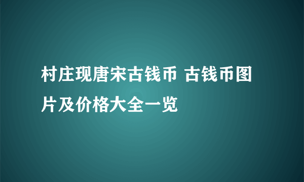 村庄现唐宋古钱币 古钱币图片及价格大全一览