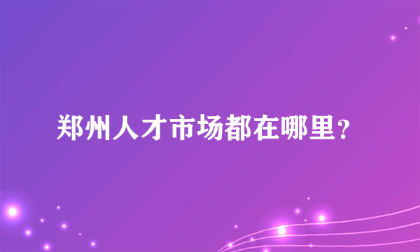 郑州人才市场都在哪里？