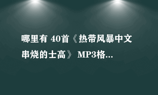 哪里有 40首《热带风暴中文串烧的士高》 MP3格式下载吗