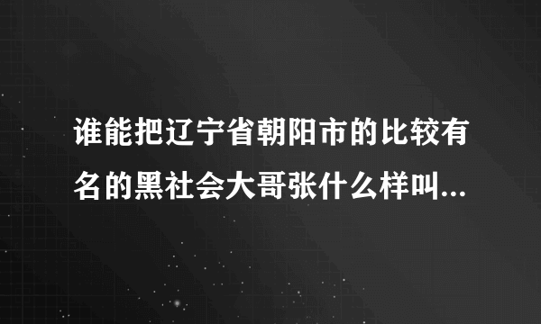 谁能把辽宁省朝阳市的比较有名的黑社会大哥张什么样叫我看看啊？？以后看见他们好躲远点。谁能传下照片啊