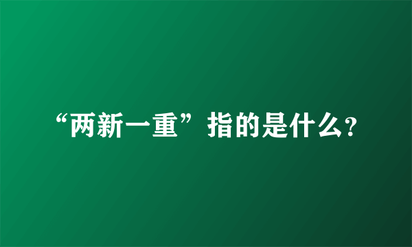 “两新一重”指的是什么？