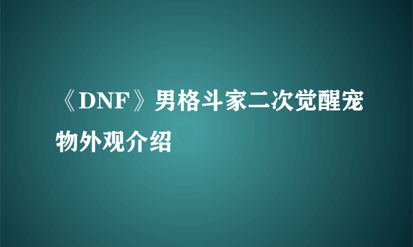 《DNF》男格斗家二次觉醒宠物外观介绍