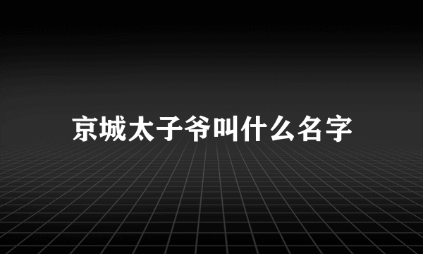 京城太子爷叫什么名字