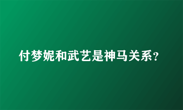 付梦妮和武艺是神马关系？