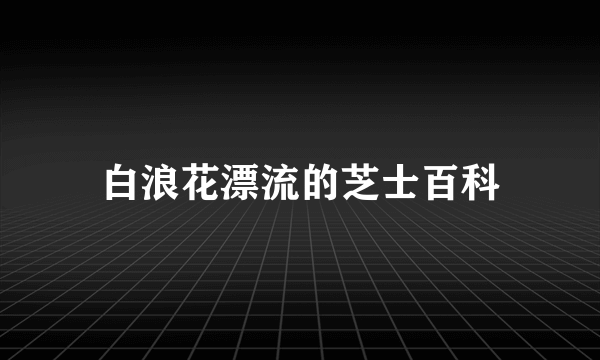 白浪花漂流的芝士百科