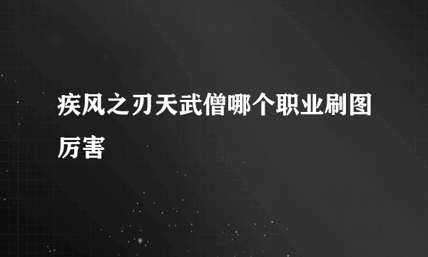 疾风之刃天武僧哪个职业刷图厉害