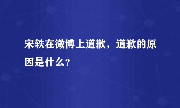 宋轶在微博上道歉，道歉的原因是什么？