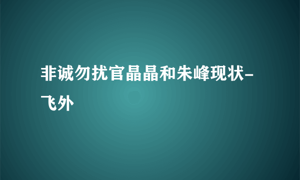 非诚勿扰官晶晶和朱峰现状-飞外