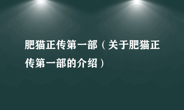 肥猫正传第一部（关于肥猫正传第一部的介绍）