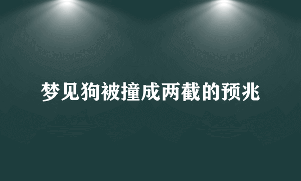 梦见狗被撞成两截的预兆