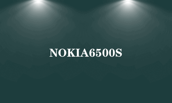 NOKIA6500S