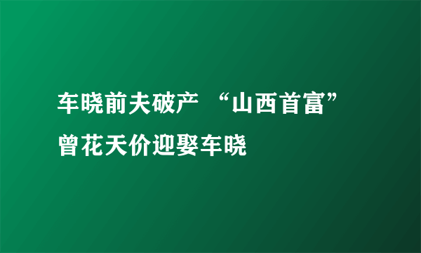 车晓前夫破产 “山西首富”曾花天价迎娶车晓