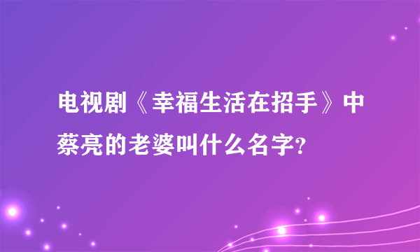 电视剧《幸福生活在招手》中蔡亮的老婆叫什么名字？