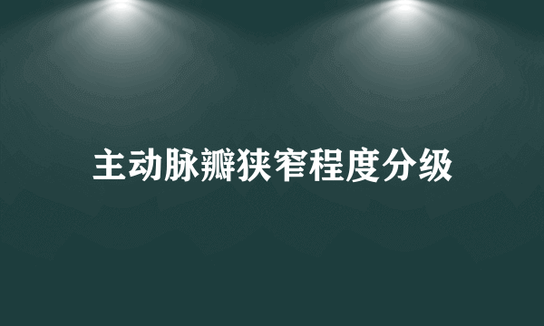 主动脉瓣狭窄程度分级