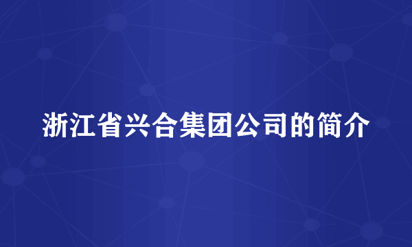 浙江省兴合集团公司的简介