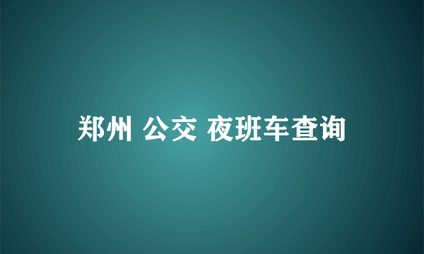 郑州 公交 夜班车查询