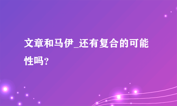 文章和马伊_还有复合的可能性吗？