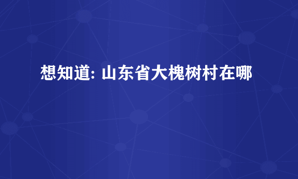 想知道: 山东省大槐树村在哪