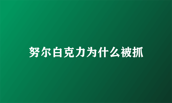 努尔白克力为什么被抓