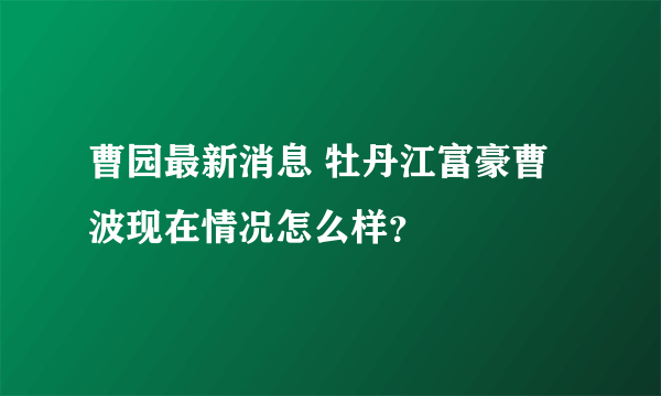 曹园最新消息 牡丹江富豪曹波现在情况怎么样？