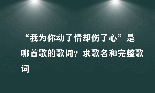 “我为你动了情却伤了心”是哪首歌的歌词？求歌名和完整歌词