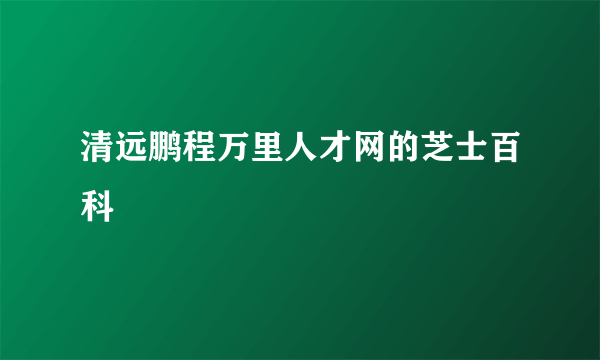 清远鹏程万里人才网的芝士百科