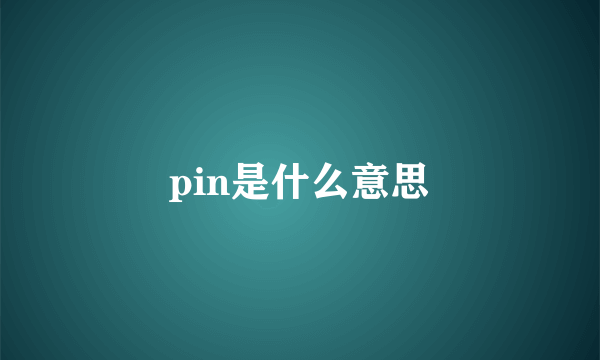 pin是什么意思