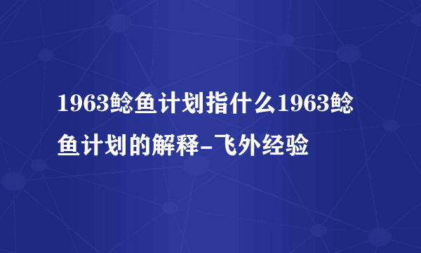 1963鲶鱼计划指什么1963鲶鱼计划的解释-飞外经验