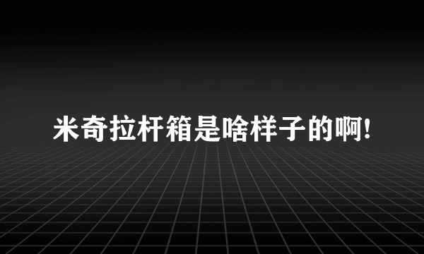 米奇拉杆箱是啥样子的啊!