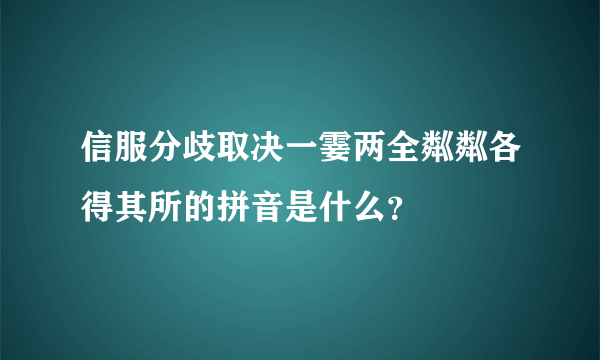 信服分歧取决一霎两全粼粼各得其所的拼音是什么？