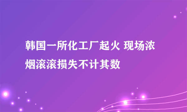 韩国一所化工厂起火 现场浓烟滚滚损失不计其数