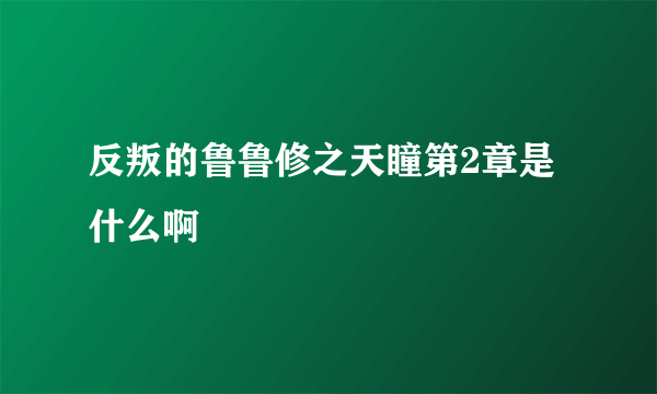 反叛的鲁鲁修之天瞳第2章是什么啊