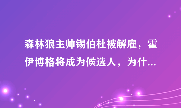 森林狼主帅锡伯杜被解雇，霍伊博格将成为候选人，为什么罗斯球迷很悲观？