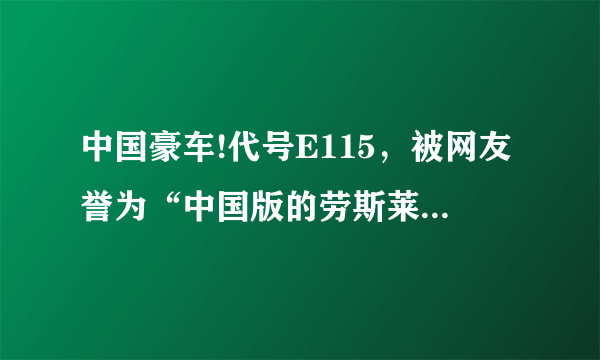 中国豪车!代号E115，被网友誉为“中国版的劳斯莱斯”,看着都舒服